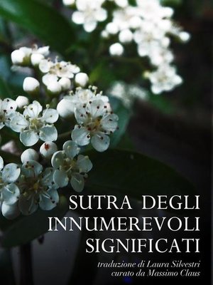 cover image of Sutra degli Innumerevoli Significati
